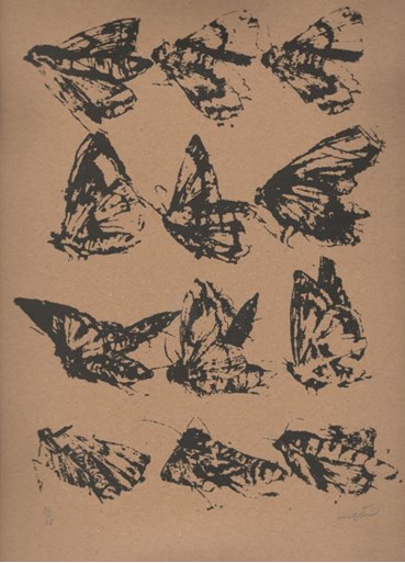 Sheida Gorjidooz, Untitled, 0, 0