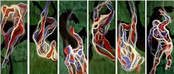 home-scroll-5-2