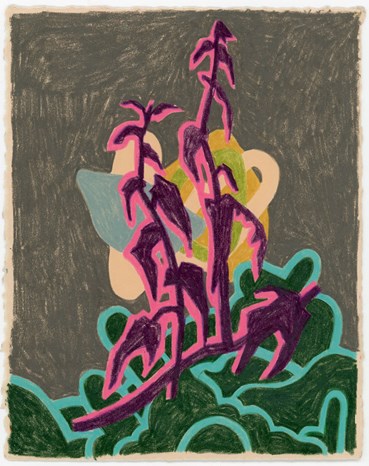 Painting, Ziba Rajabi, Plants and Purple Shadow, , 42380