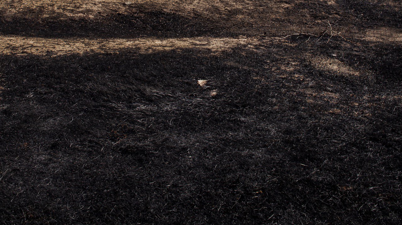 Forugh Taj, Untitled / Number 9 of 41, 2022