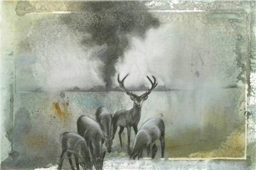 Leila Refaahi, Untitled, 0, 0