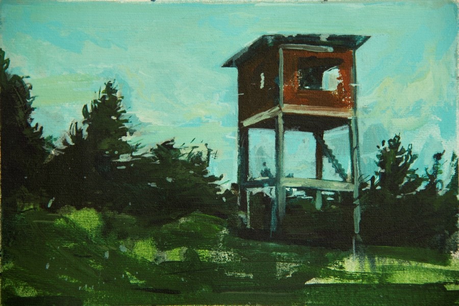 Vahid Danaiefar, Untitled, 2016