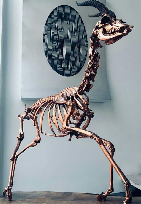 Alireza Memariani, Copper Mummy of Hormoz Deer - Number 3, 2018