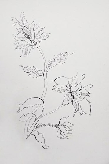 Drawing, Monir Shahroudy Farmanfarmaian, Wild Orchid, 1986, 52302