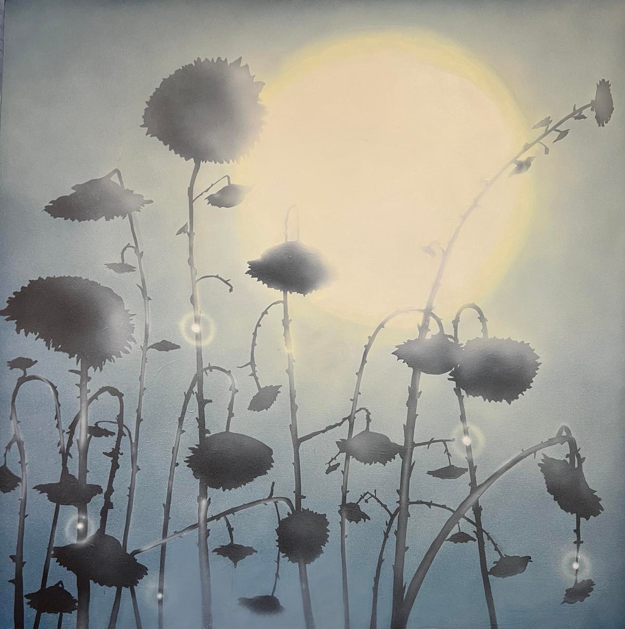 Sam Nejati, Whisper, 2021