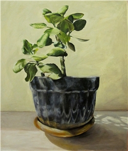home-scroll-5-1