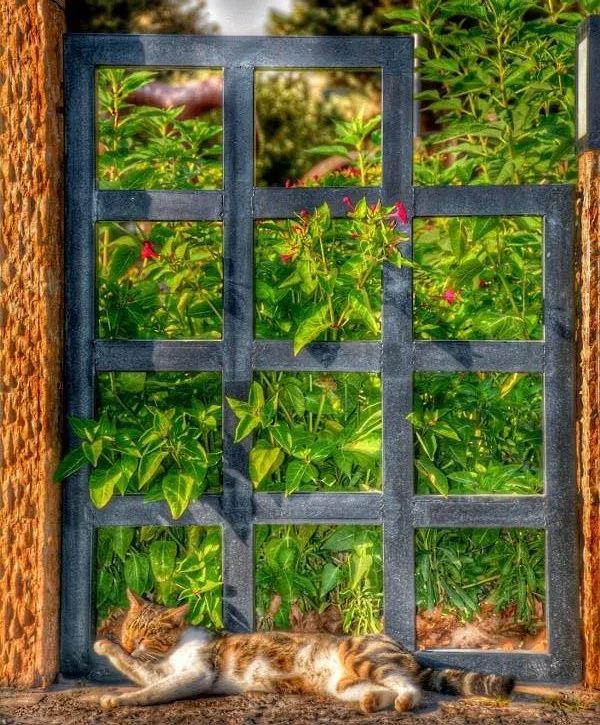 کیوان کاسب، بدون عنوان، 1397