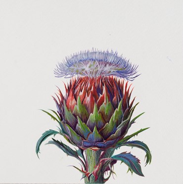 Painting, Elaheh Ramezani, The Liminal Arboretum: Thorns and Vapors, 2025, 83739