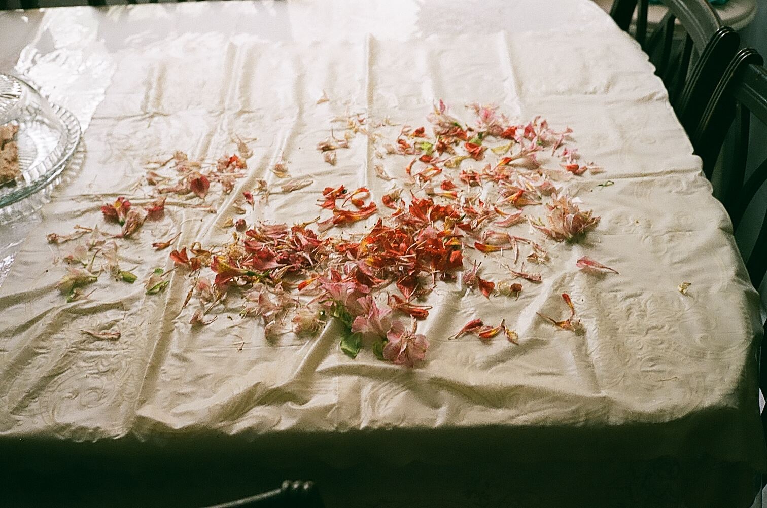 Pouya Parsamagham, Untitled, 2017