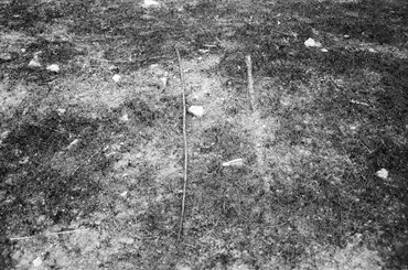 Photography, Kimia Askarian, Untitled, 2021, 68251