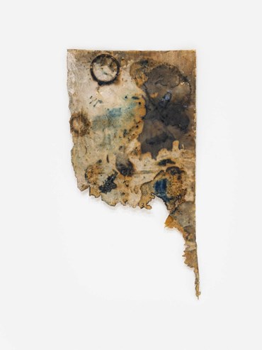 , Kamyar Bineshtarigh, Alka's Darkroom Table II, 2025, 80448