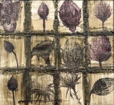 , Shiva Nuran, Eryngium, 2024, 76594