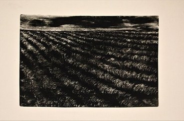 Shirin Heidarinejad, Untitled, 2023, 0