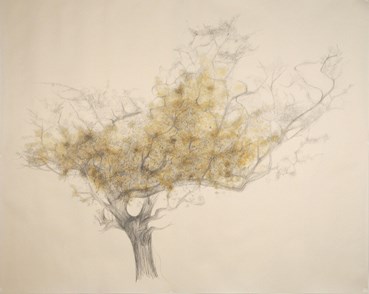 Drawing, Avish Khebrezadeh, Hawthorn For Marcel, 2011, 40860