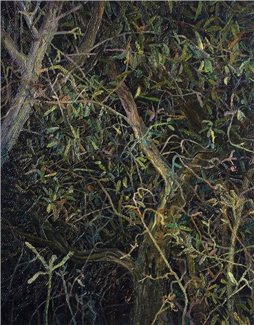 Painting, Saeed Khaleghi, Untitled, 2020, 38017