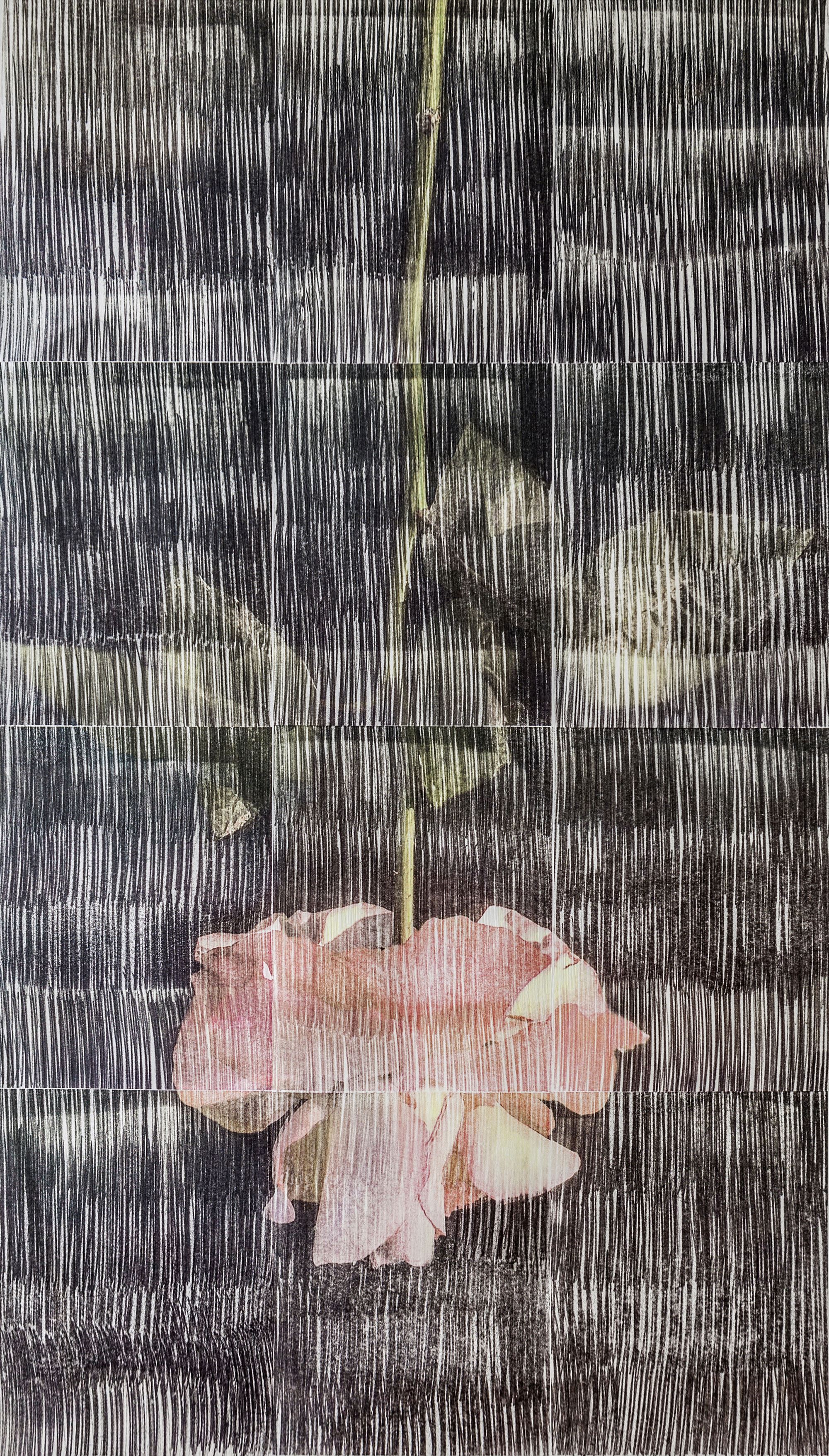 Sasan Abri, Untitled, 2020