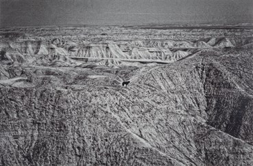 Photography, Babak Kazemi, A Report For d'Arcy, , 80186