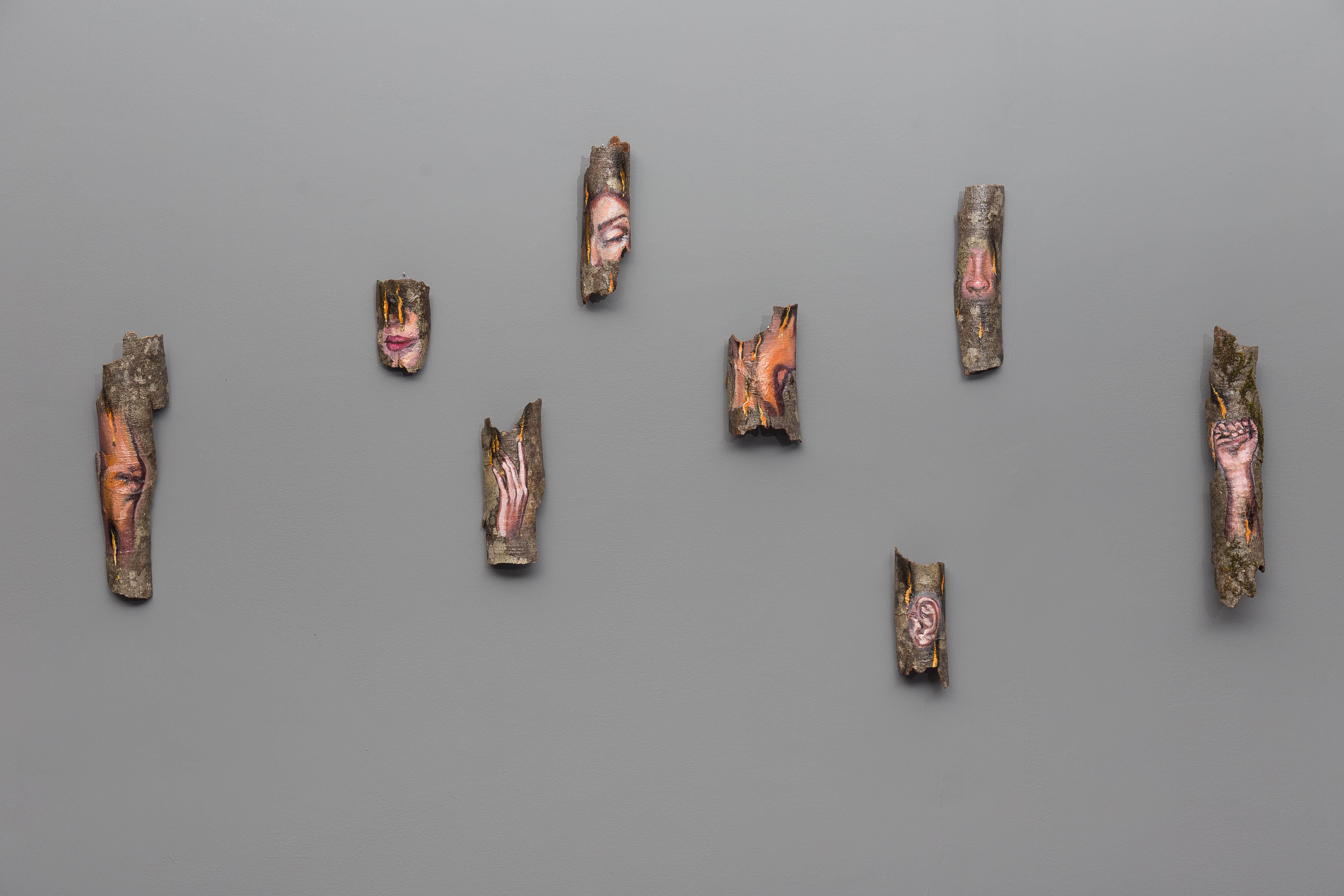 Behnam Kamrani, Skin - Bark, 2021