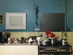 home-scroll-7