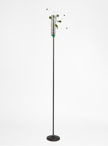 Shaqayeq Arabi, Untitled, 2025, 0