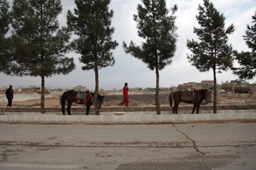 Photography, Hoda Amin, Untitled, 2014, 76488