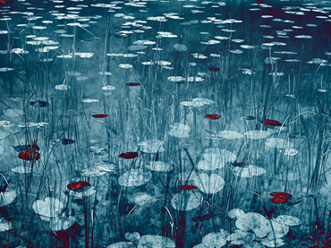 , Santeri Tuori, Water Lilies No.20, 2022, 58524