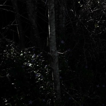 Photography, Kimia Askarian, 24 September 2022, 2023, 76081