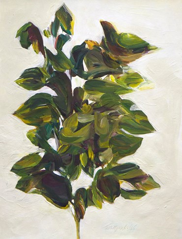 , Sheida Gholipour, Untitled, , 80999