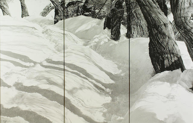 Abbas Kiarostami, Untitled, 1998
