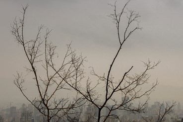 Rasa Hezarkhani, Untitled, 2017, 0