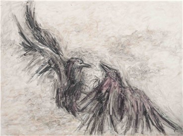 Works on paper, Avish Khebrezadeh, Two Crows, 2014, 18628