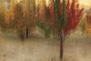 Photography, Amirhossein Heshmati, Untitled, , 78503