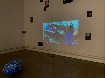 Bardia Salimi, Untitled, 2023, 0