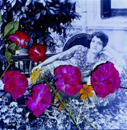 Bahman Jalali, Flowers, 2004
