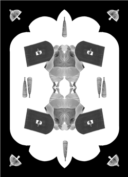 home-scroll-5-3