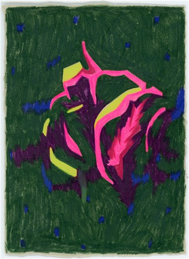 Painting, Ziba Rajabi, Direct Observed Flower, , 35086