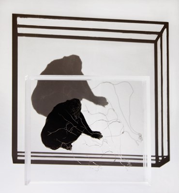 Installation, Shima Esfandiyari, Untitled, 2012, 76664