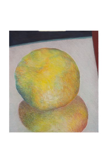 Fariborz Ghalam, Balanced Lemon, 2025, 0
