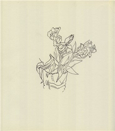 Drawing, Hosein Shirahmadi, Flowers, 2019, 38224