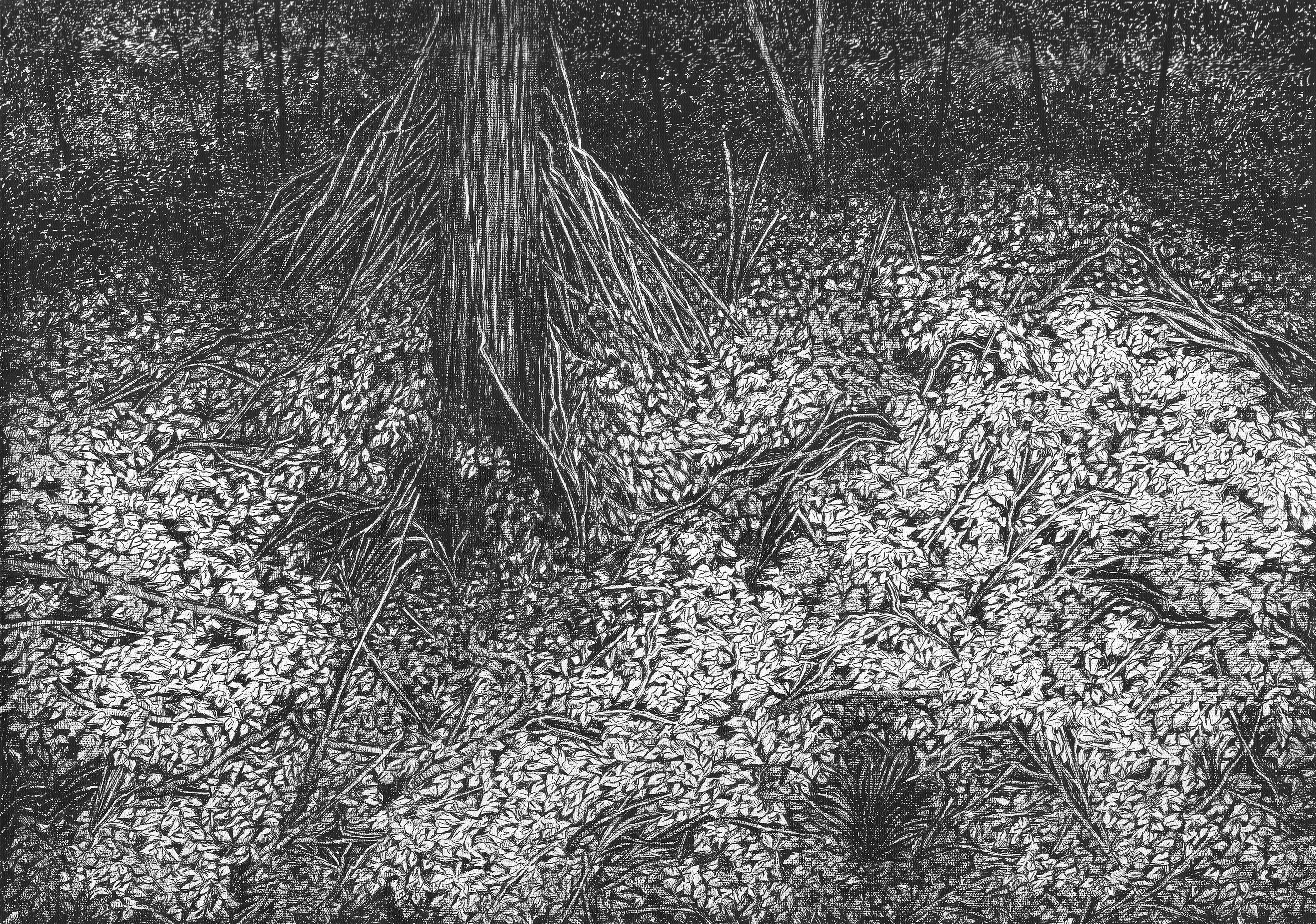 Mahsa Arabzadeh, Untitled, 2023