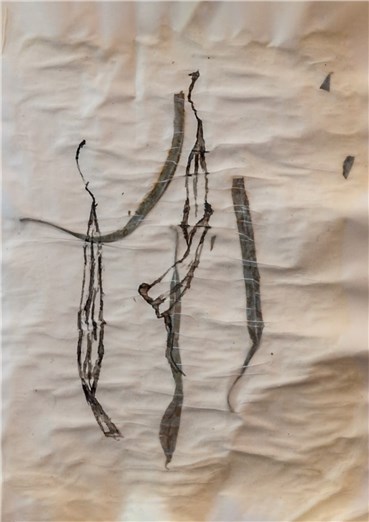 Hedie Khanali, Untitled, 2020, 0