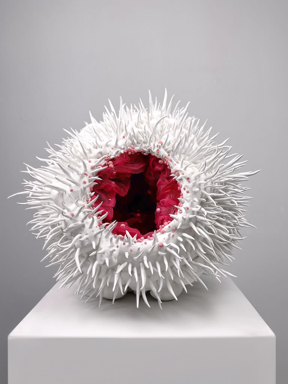 Sara Tehrani Nia, Untitled, 0
