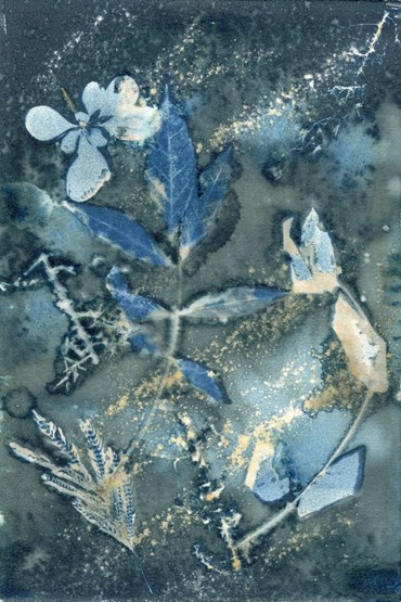 Nazli Abbaspoor, Untitled, 2024, 0