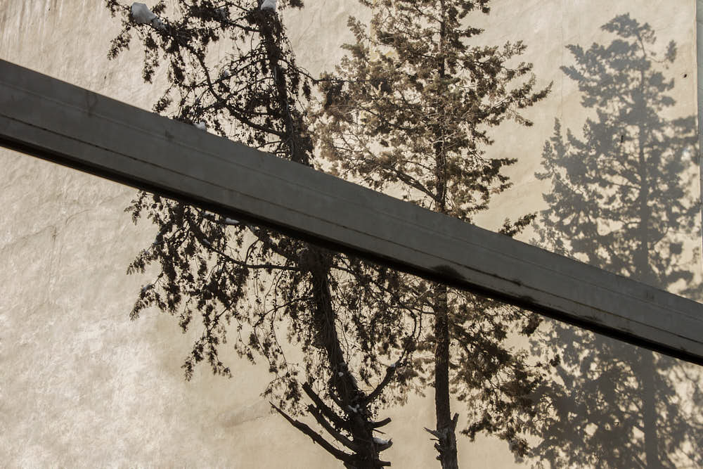 Rasa Hezarkhani, Untitled, 2018