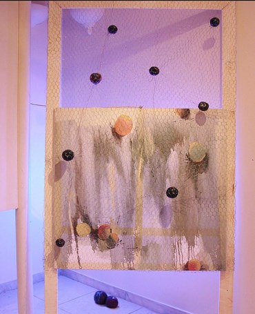 Installation, Jila Kamyab, A Thousands Apple for the Eve, 2002, 70500