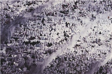 Photography, Reza Deghati, Scène de prière, , 38691