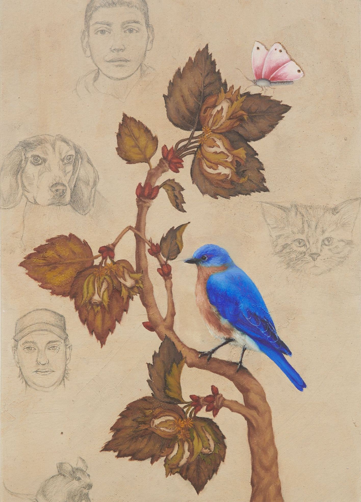 Hadi Falapishi, Untitled, 0
