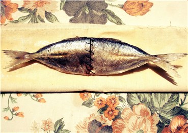 Mixed media, Parsa KameKhosh, The fish Achieves Perfection in the Garden, 2015, 36602