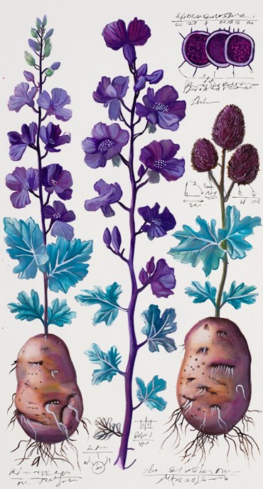 Painting, Elaheh Ramezani, Studying Specimen, Sorted, Serialized: Potato, 2024, 83713