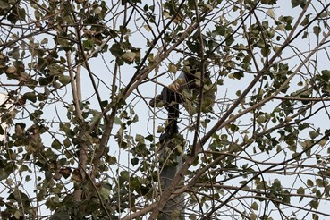 Rasa Hezarkhani, Untitled, 2018, 0